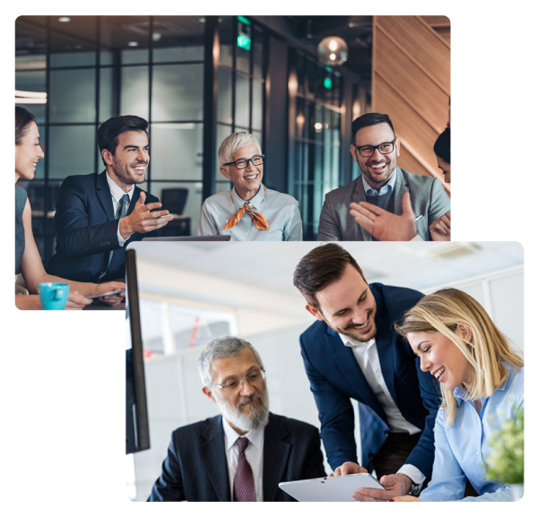 We are a team of professionals specialized in the fields of consulting